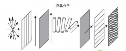 ҺYע푑rg}o