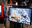(gu)infocomm2011չF(xin)(chng)棨D
